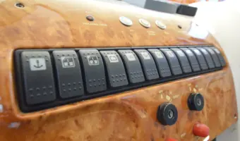 31