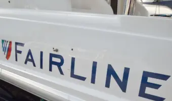 43