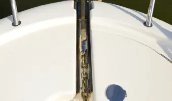 36