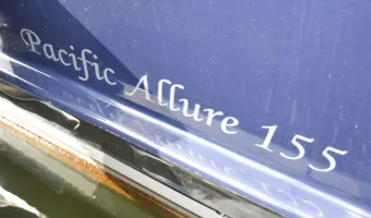 43