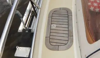 41