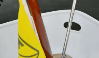 61